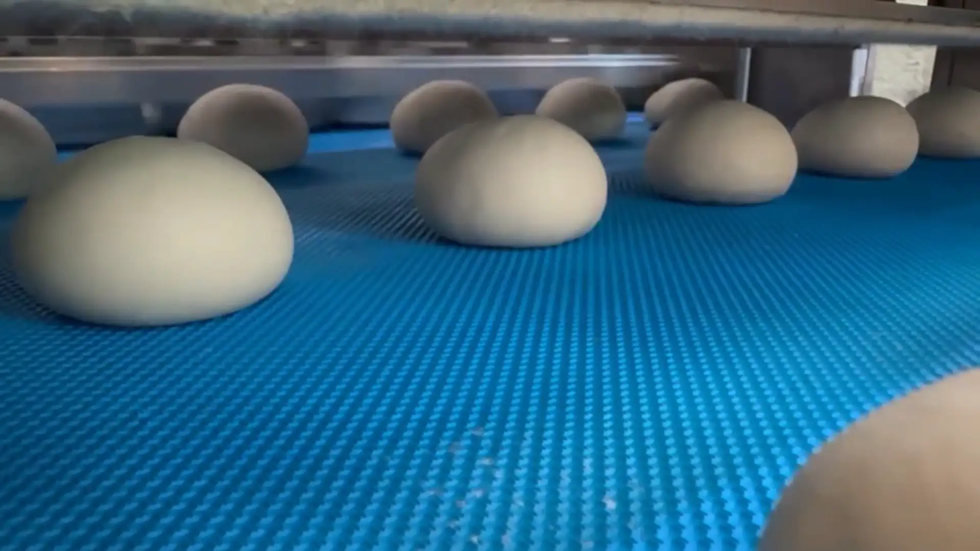 Dough Divider Rounder video thumbnail