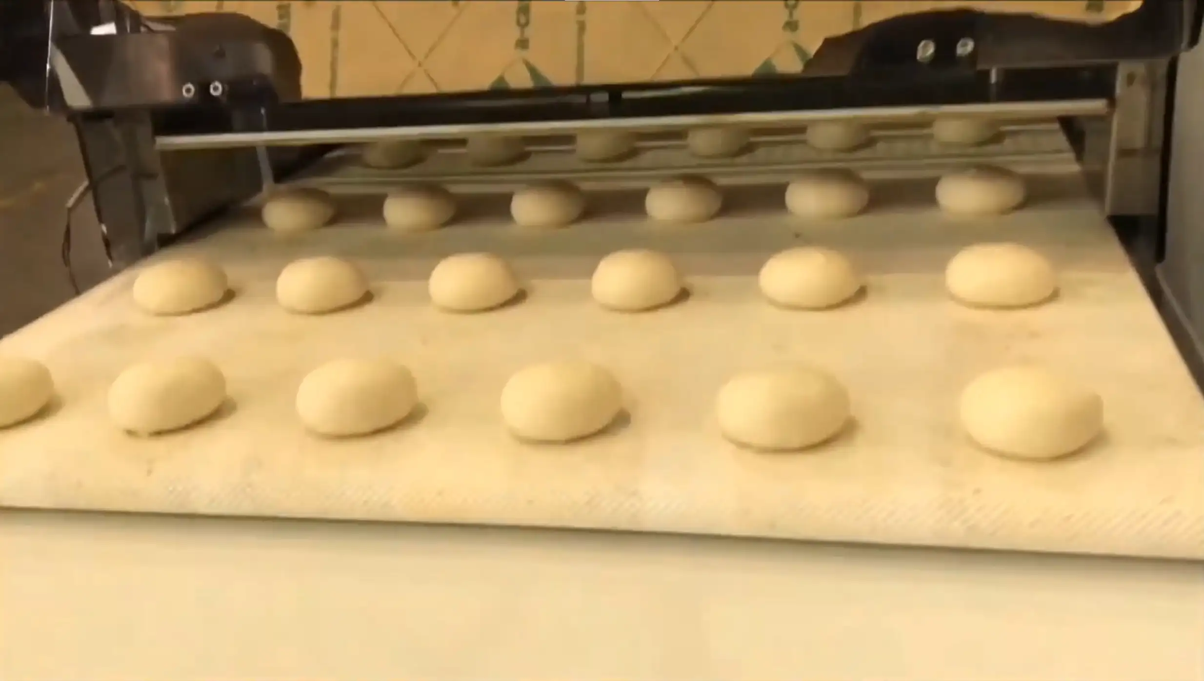 Burger & Bread Roll Line video thumbnail