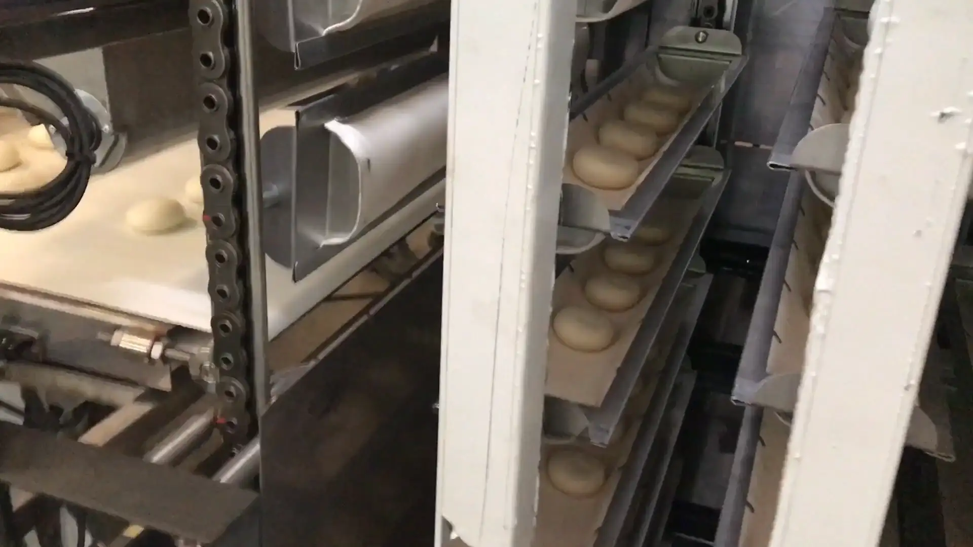 Complete Burger & Bread Roll Plant Line video thumbnail