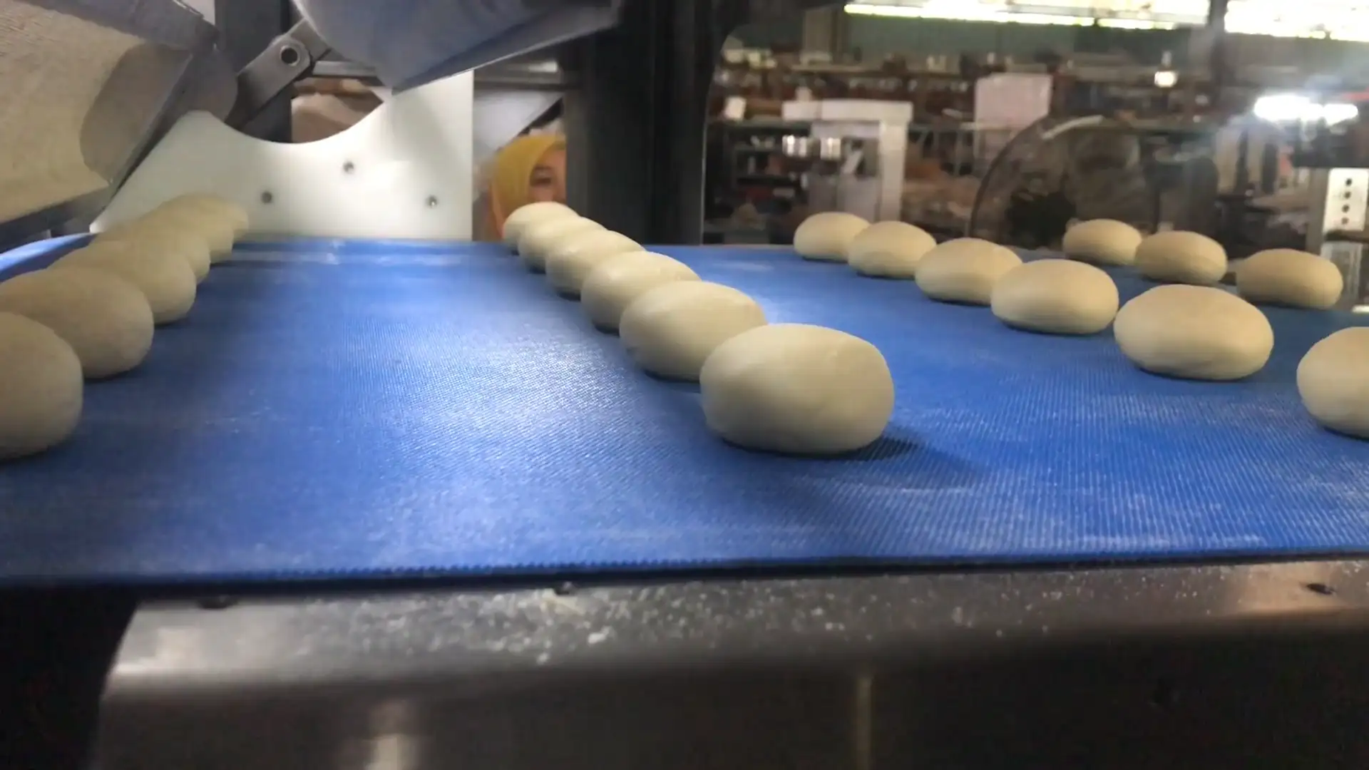 Complete Burger & Bread Roll Plant Line video thumbnail