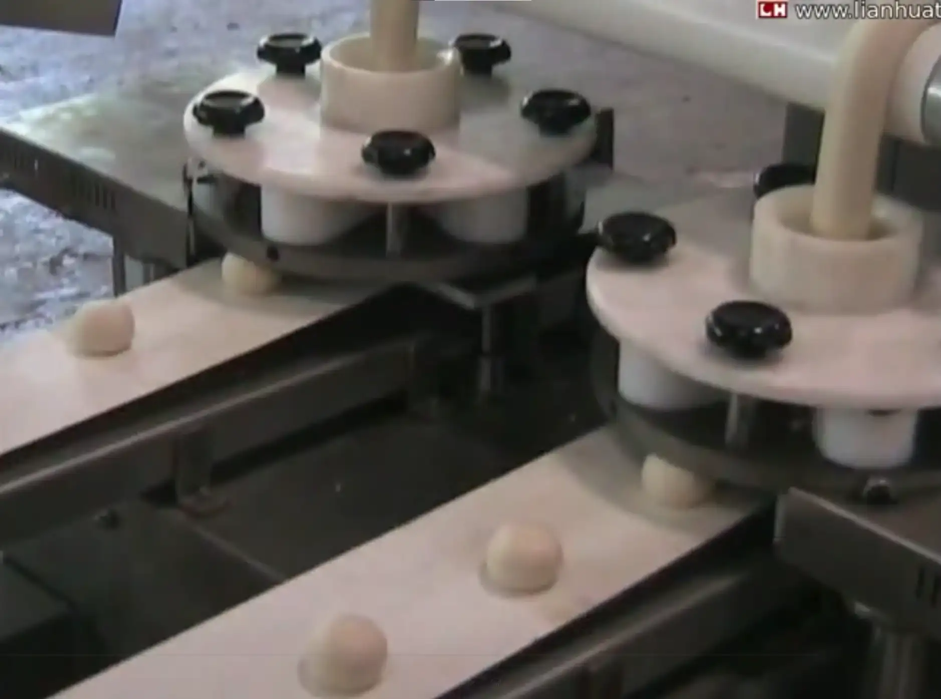 Automatic Encrusting & Moulding Machine video thumbnail